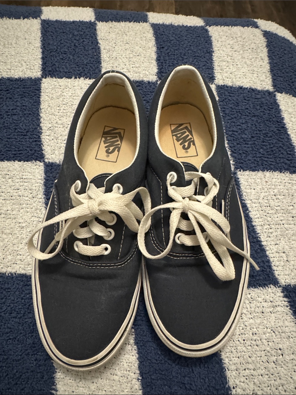 Vans Navy Canvas Low-Top Sneakers with White Accents
